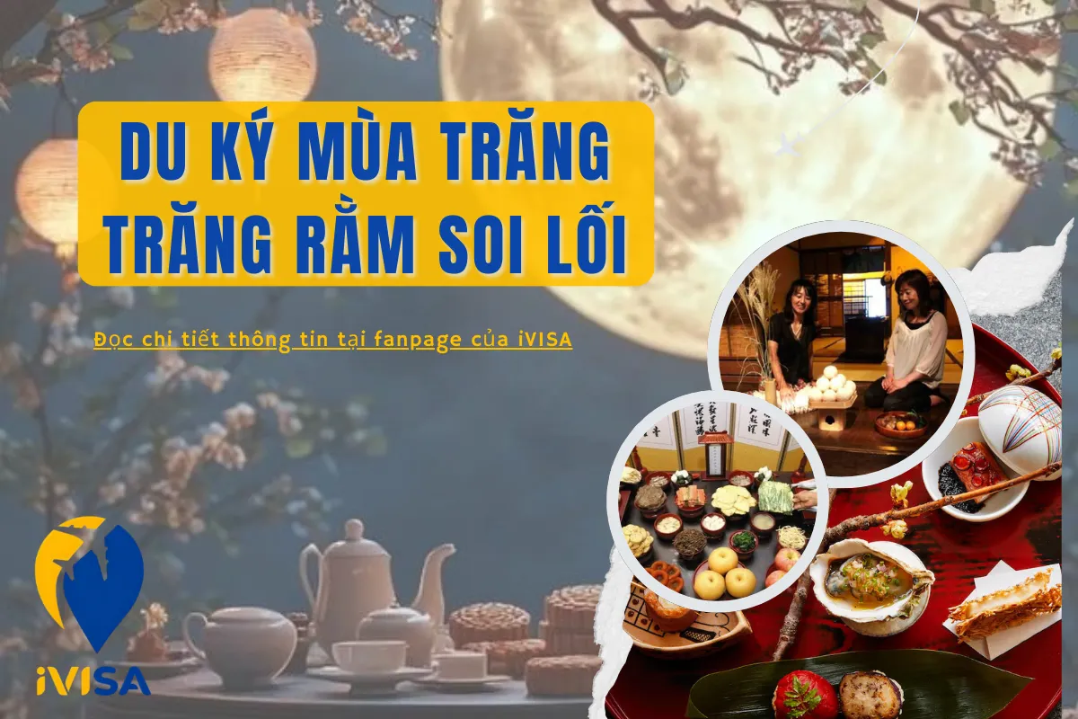 du-ky-mua-trang-trang-ram-soi-loi