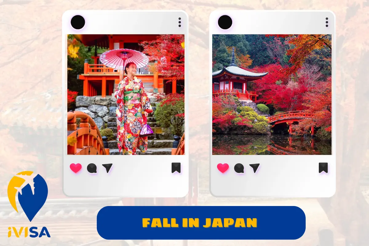 fall-in-japan