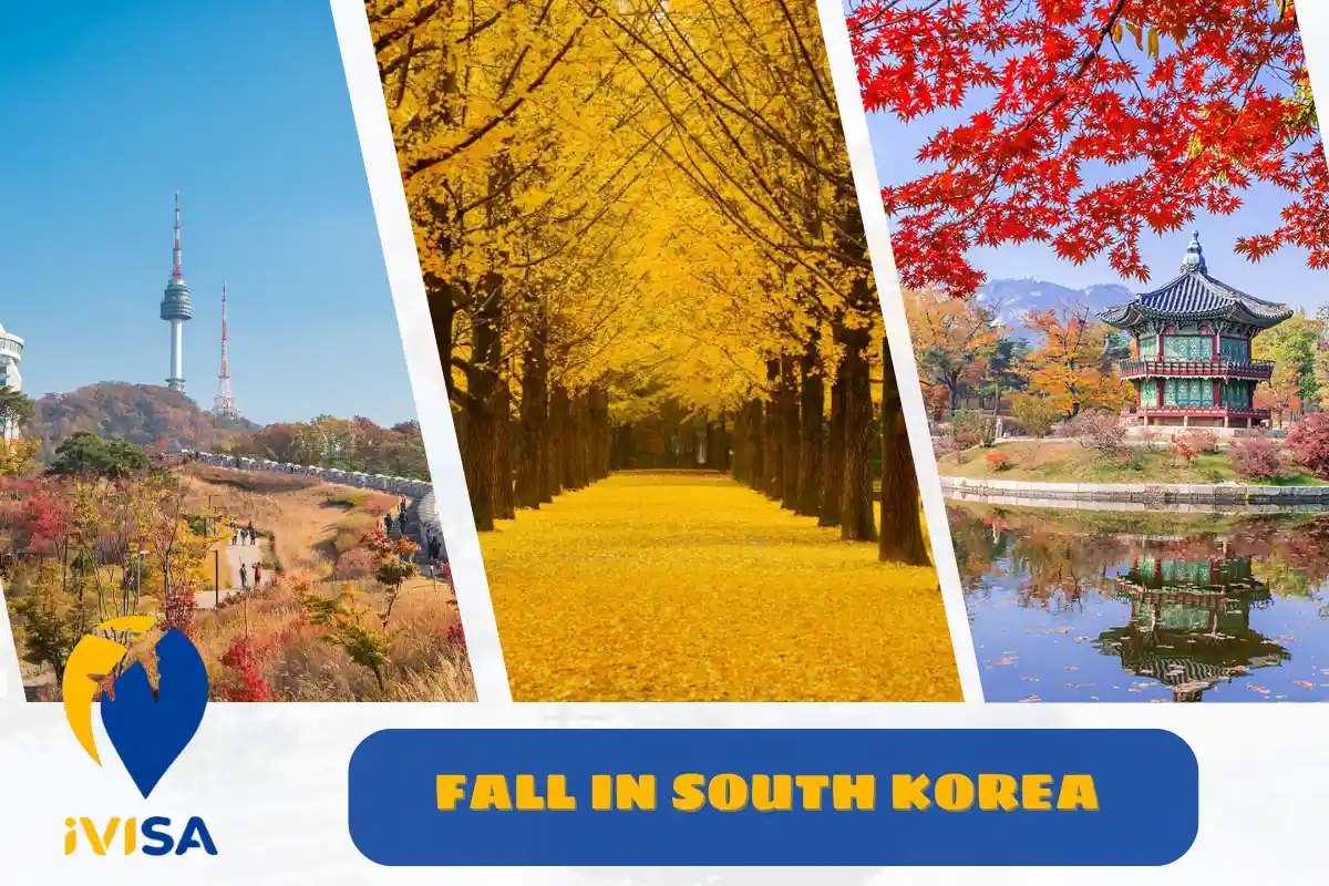 fall-in-south-korea