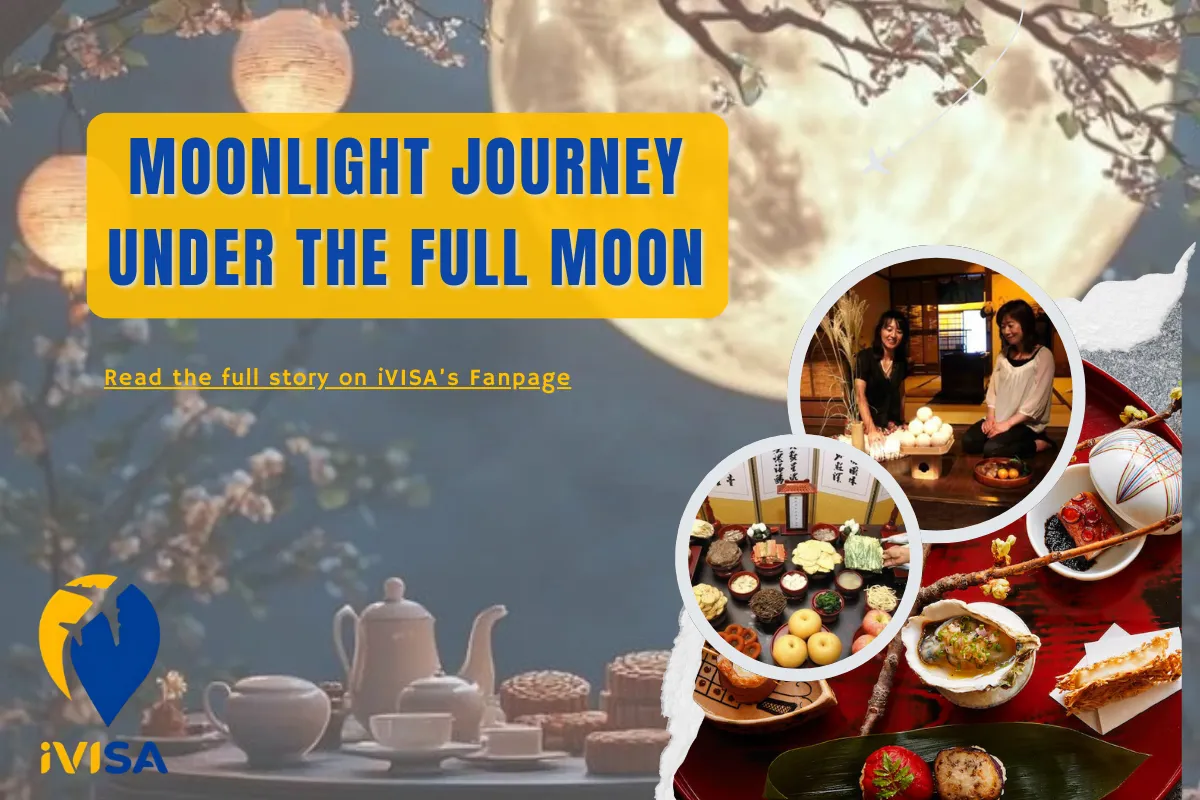 moonlight-journey-under-the-full-moon